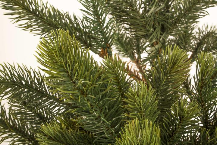 Image du produit Botanic-Haus Sapin d'art, hauteur 195cm, avec 432 lumières LED (195 cm)