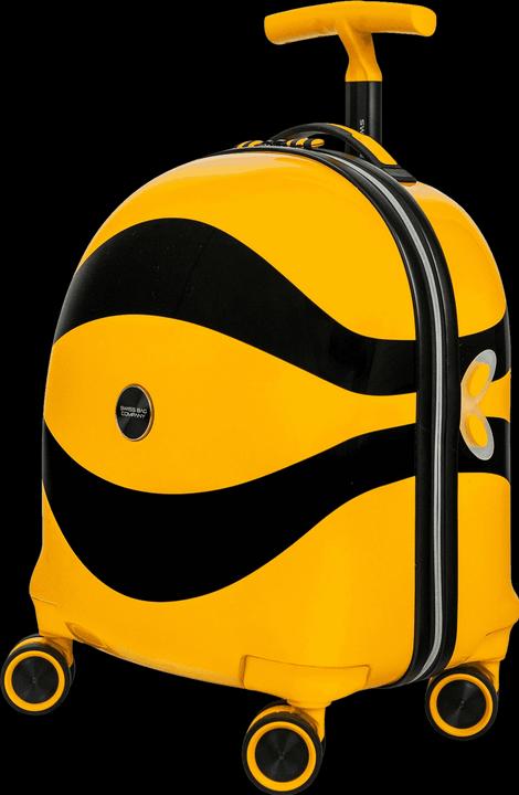 Actual product image Swissbags S (36 l, Hand luggage (up to 50 litres))