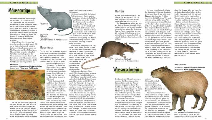 Immagine prodotto Erlebniswelt Wissen Säugetiere (Tedesco, 2022)