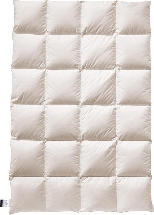 Produktbild Billerbeck Daunendecke E23 Inga Kassette II warm, Füllung: 90% Daunen, 10% Federn (1140 g, 200 x 200 cm)