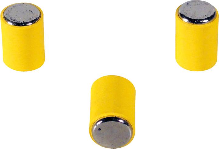 Actual product image BoOffice Magnets MagPin (12 x)