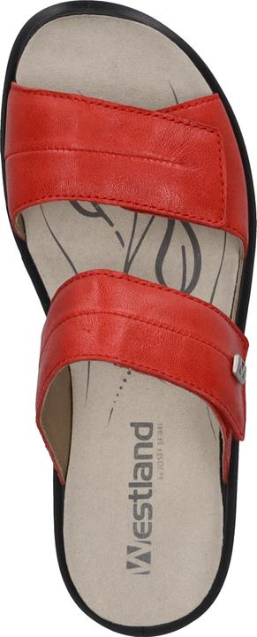 Image du produit Westland 25906-643 (37)
