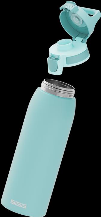 Actual product image Sigg Shield One (1 l)