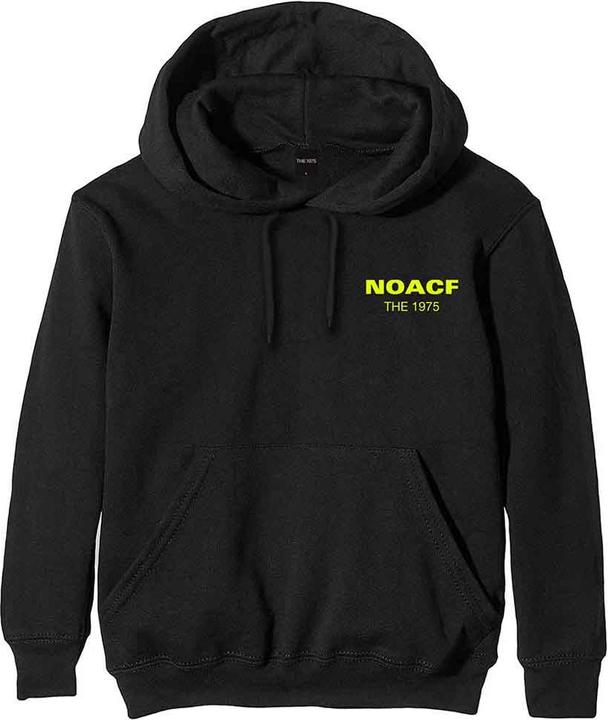 Actual product image Universal Textiles Unisex Adult NOACF Pullover Hoodie (L)