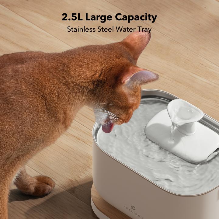 Actual product image Petlibro Dockstream (2.50 l)