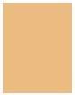 Immagine prodotto Sensai Fondotinta luminoso e trasparente (LS203 - Neutro Beige)