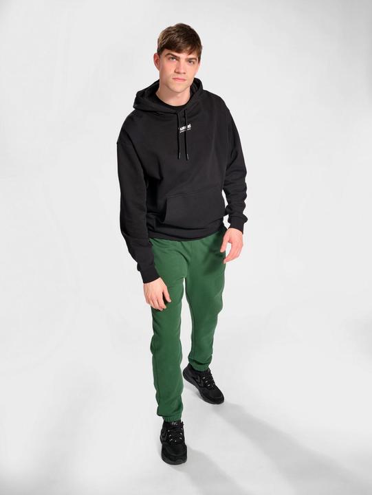 Actual product image hummel Hmllgc Nate Hoodie (L)