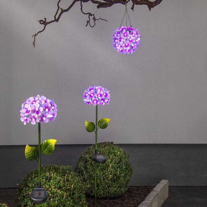 Produktbild Star Trading Hortensia (IP44)