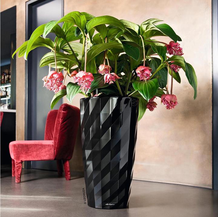 Produktbild Lechuza DIAMANTE Premium hochglanz (41 cm)
