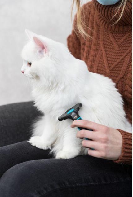 Image du produit Trixie Brosse Carding (Chien)
