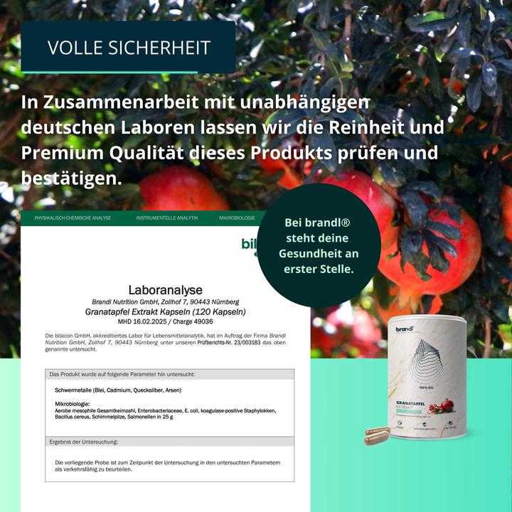 Produktbild Brandl Granatapfel Extrakt Vegan (1 Stück, Kapseln, 130 g)