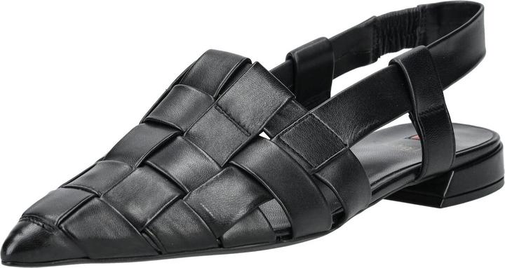 Actual product image Högl Pumps (40)