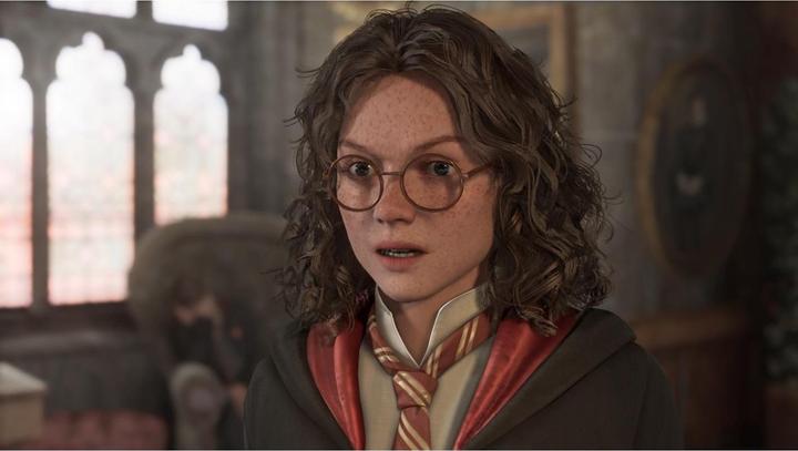 Produktbild WB Hogwarts Legacy (Switch 2, DE)
