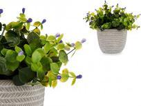 Image du produit Ibergarden plante verte fleur lilas avec pot gris (20.60 cm)
