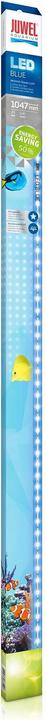 Immagine prodotto Juwel Aquarium Blu (LED, 21 W)