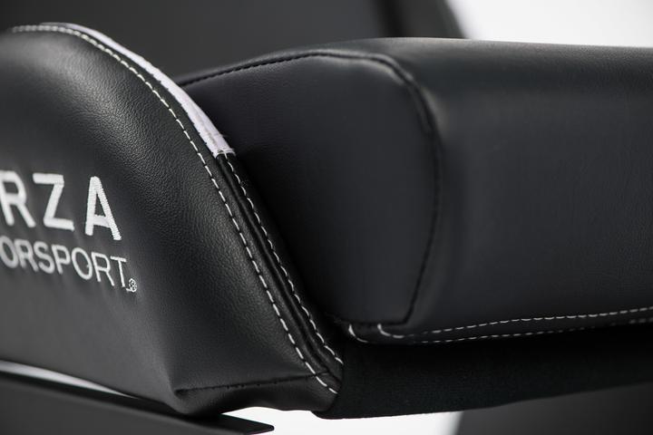 Immagine prodotto Playseat Forza Motorsport