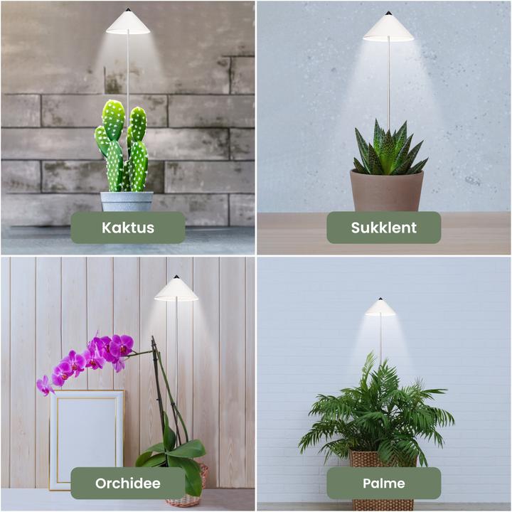 Image du produit Colibri SUNLiTE blanc (LED, 230 V)