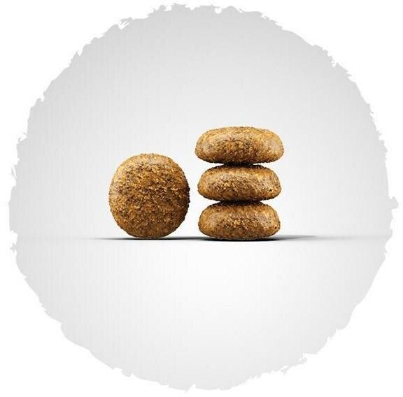 Image du produit Josera Aliments secs Miniwell pour petites races (Adulte, 1 pcs, 900 g)