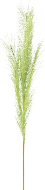 Produktbild Hoff Interieur Hoff-Interieur Zierfeder Lindgrün 80cm