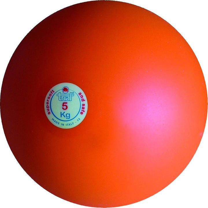 Trial Shock ball (5000 g)