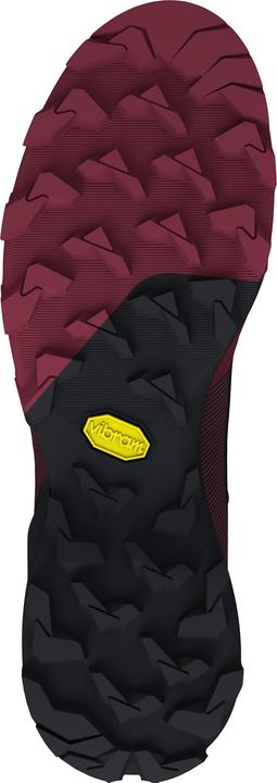 Produktbild Dynafit Transalper GTX Laufschuh Damen (38)