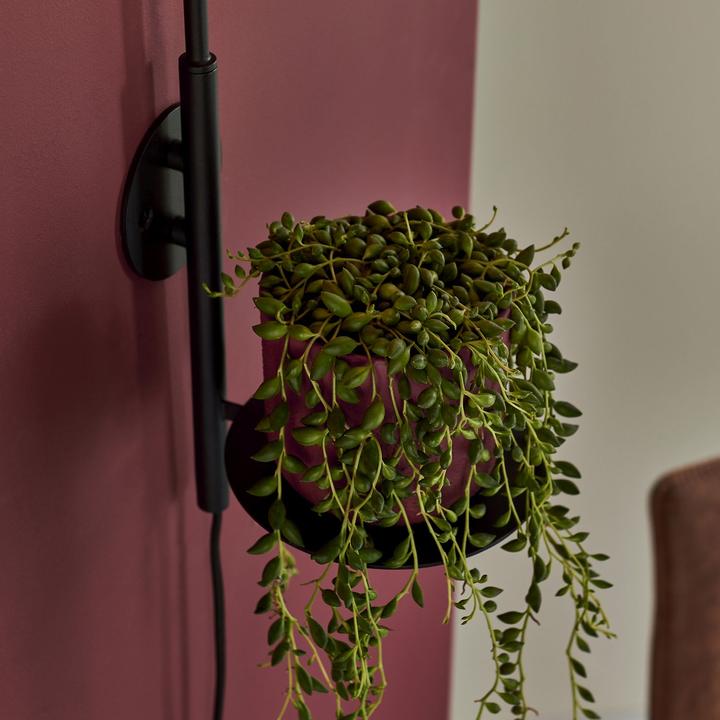 Actual product image Licht-Erlebnisse Wall lamp Durban (G9)