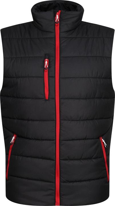 Immagine prodotto Regatta Gilet termico Navigate pour hommes (L)