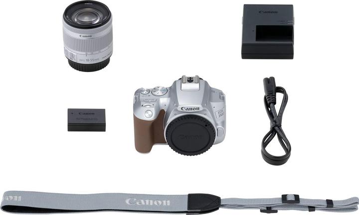Immagine prodotto Canon EOS 250D + EF-S 18-55mm f/4-5.6 IS STM (18 - 55 mm, 24.10 Mpx, APS-C / DX)