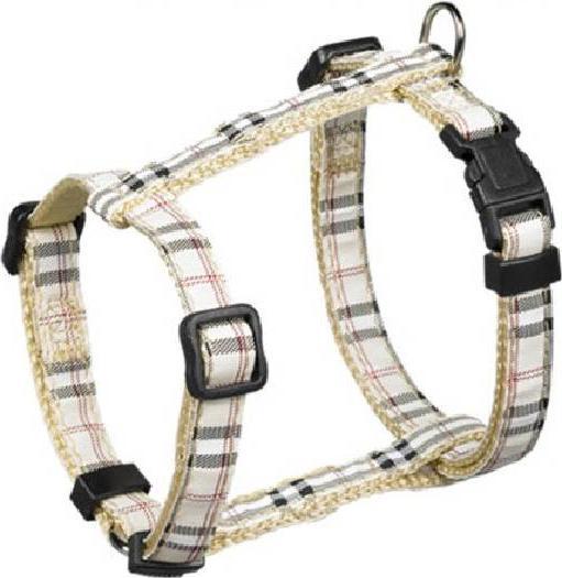 Immagine prodotto Nobby Tartan da tavola (Cane, Sport cane)