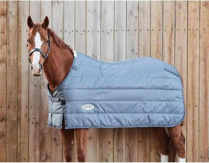 Produktbild Weatherbeeta Comfitec Thermi 100 g (150 cm)
