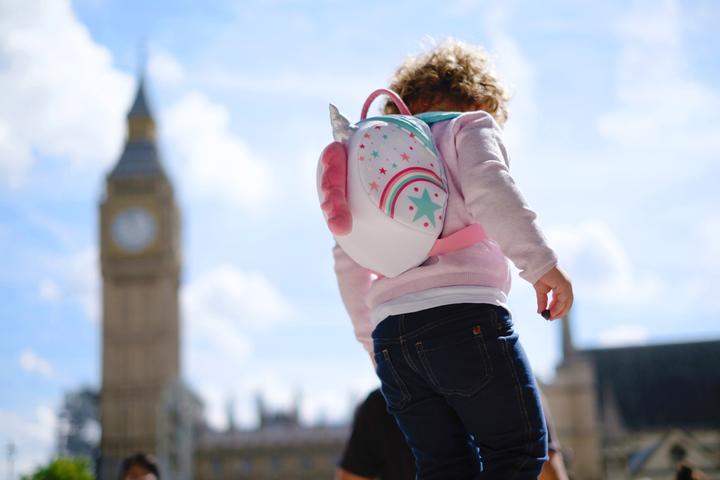 Produktbild Littlelife Toddler Backpack