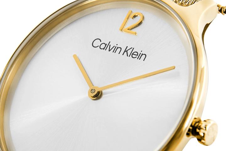 Image du produit Calvin Klein Timeless Mesh Damenuhr 25200003 + BOX (Montre analogique)