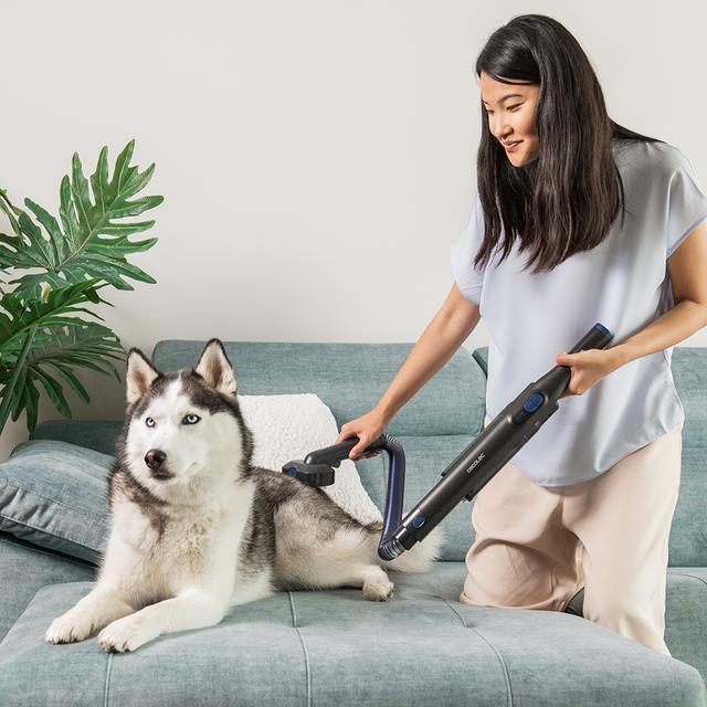 Produktbild Cecotec Conga Rockstar Micro+ Animal Schnurloser Staubsauger Grau Beutellos