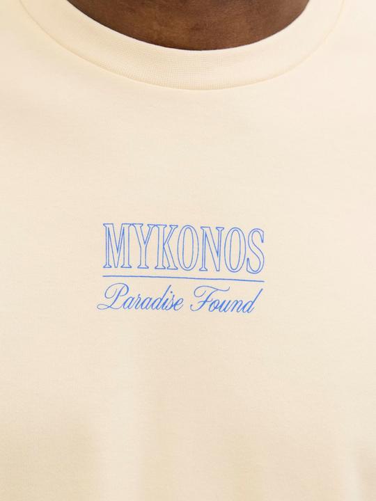 Immagine prodotto Jack & Jones Gedruckt Rundhalsausschnitt T-shirt T-shirt (XS)