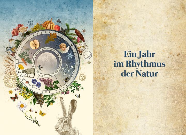 Image du produit Naturwissen (Allemand, Le berceau de Miriam, 2022)