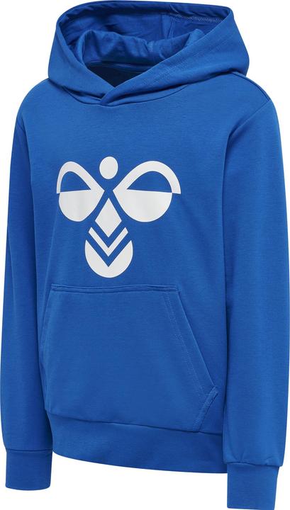 Actual product image hummel Cuatro Hoodie (164)