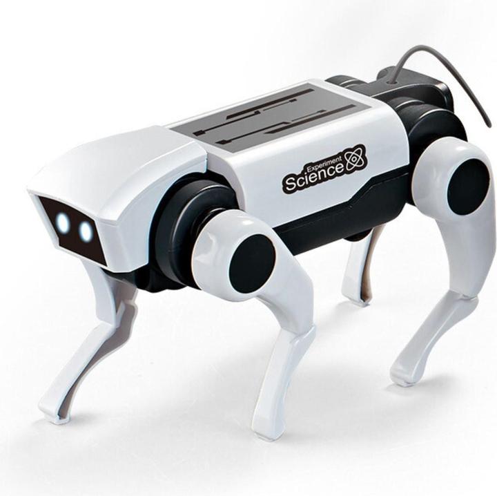 Actual product image Hermex Robot dog
