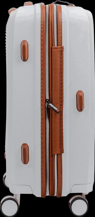 Immagine prodotto Swissbags New Vision (51 l, Bagaglio a mano (fino a 50 litri))