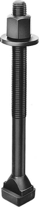 Actual product image Amf T-groove screw (1 Screws per piece)