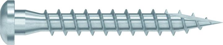 Actual product image Simpson Sst Screws (200 pcs.)