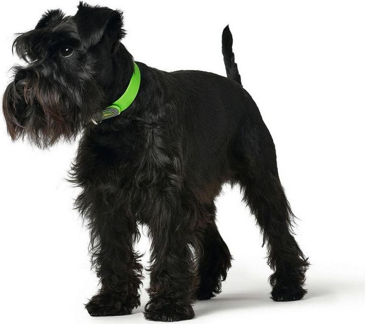 Produktbild Hunter Convenience - Hundehalsband grün - 45 cm (S, M, Hund, Allgemein)