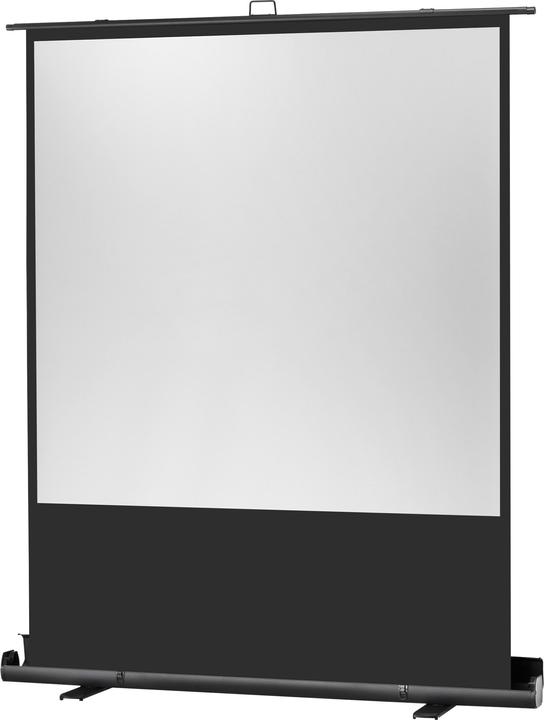 Actual product image Celexon Ultramobil Plus Professional (108", 1:1)
