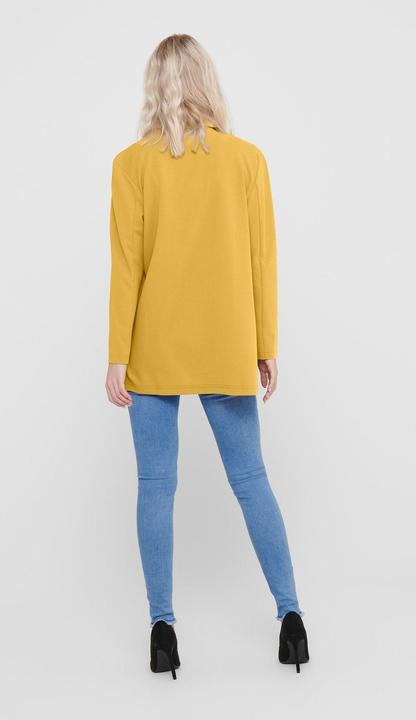 Image du produit JdY JDYGEGGO Blazer Blazer (XL)