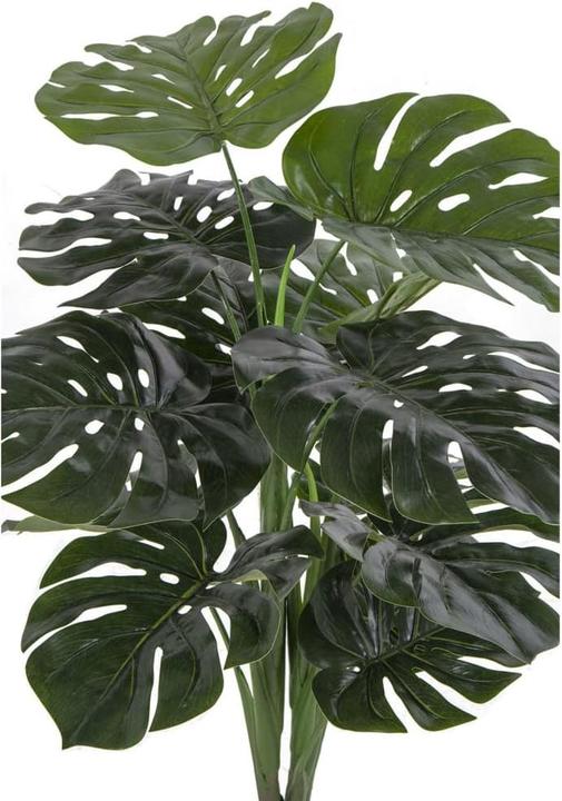 Image du produit House Nordic Monstera (90 cm)