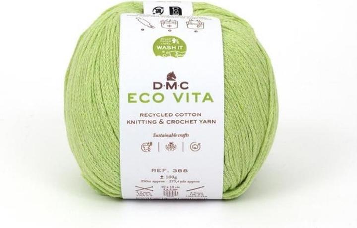 Image du produit DMC Laine Eco Vita 100 g, vert clair (250 m)