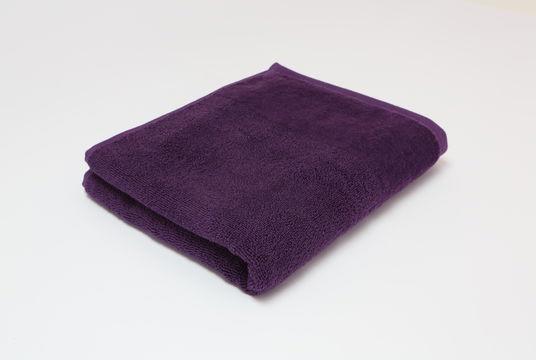 Viola