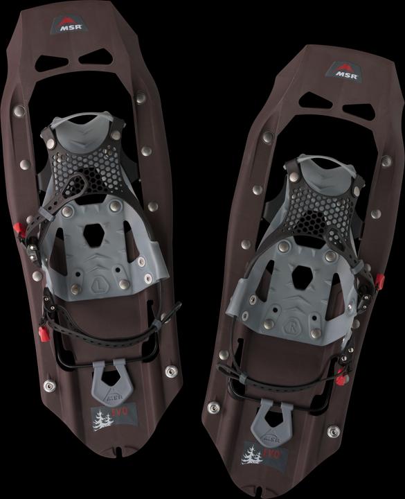 Actual product image Msr Evo Trail (22")