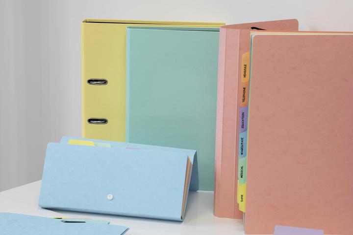 Actual product image Exacompta Ring binders (A4, 25 mm, 1 Piece)