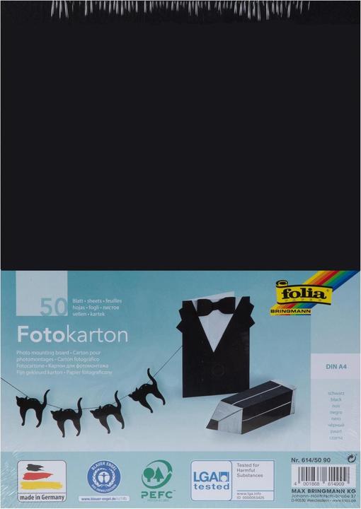 Immagine prodotto Folia Cartone fotografico (300 g/m², 1 x)