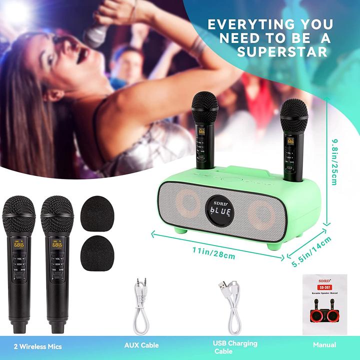 Produktbild Dlara Karaoke Maschine (Passiv, 2x 15 W)